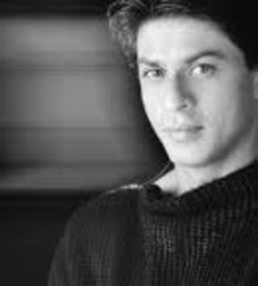 images (17) - Shahrukh Khan