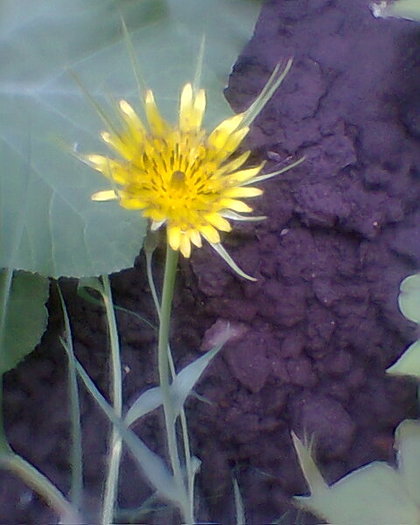 Fotogr.0373