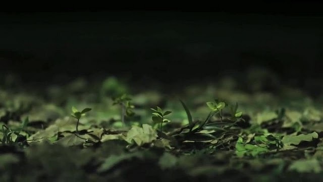 Anahi    Me Hipnotizas ( Official  Music Video ) 764