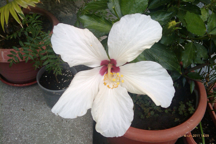 IMAG0646
