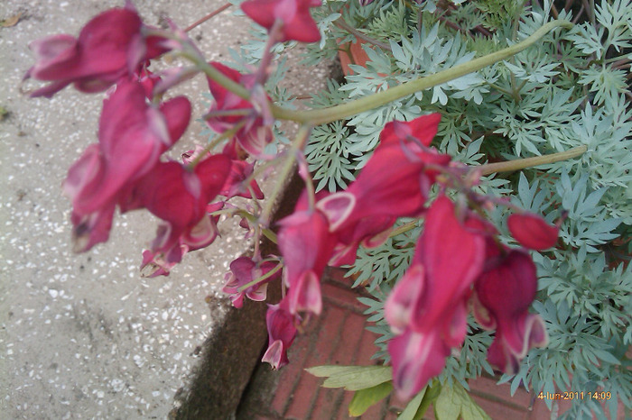 IMAG0647