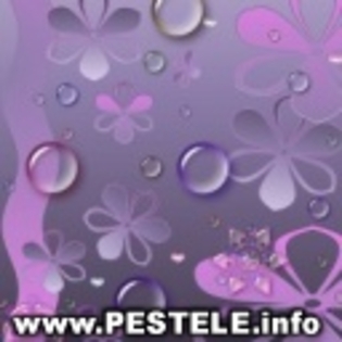 avatare poze flori flori imagini flori exotice imagini flori rare mari cu flori flori de apartament - flowers