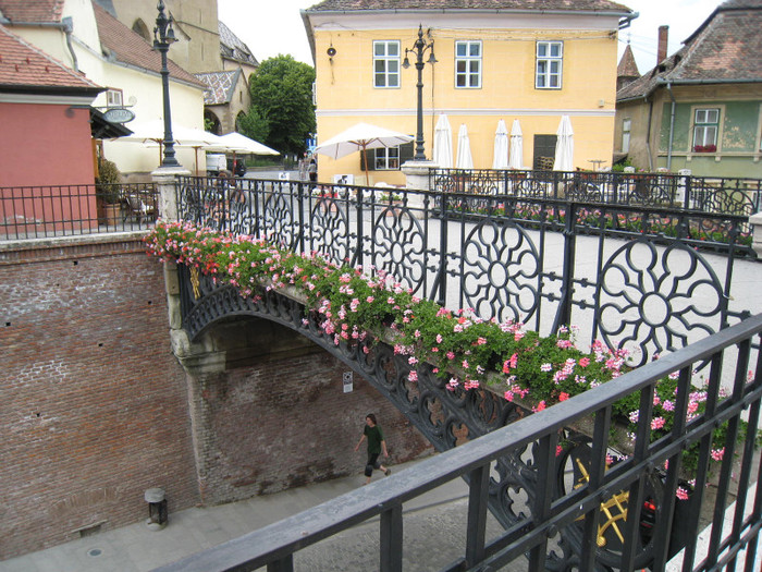 SIBIU IUNIE 2011 029 - SIBIU IUNIE 2011