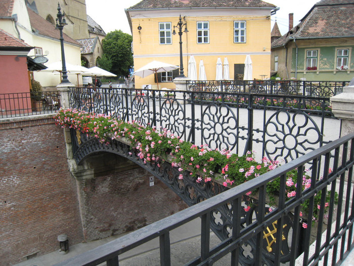 SIBIU IUNIE 2011 031 - SIBIU IUNIE 2011