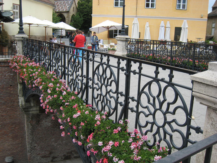 SIBIU IUNIE 2011 040