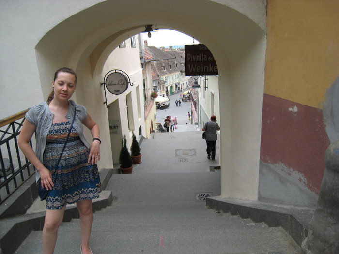 SIBIU IUNIE 2011 049