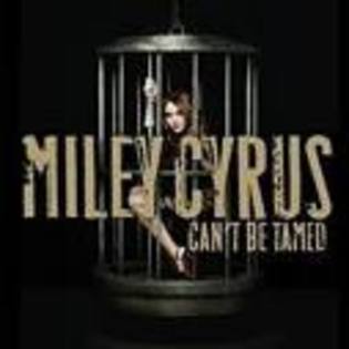  - cant be tamed by miley cyrus