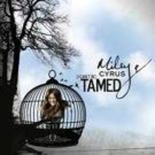  - cant be tamed by miley cyrus