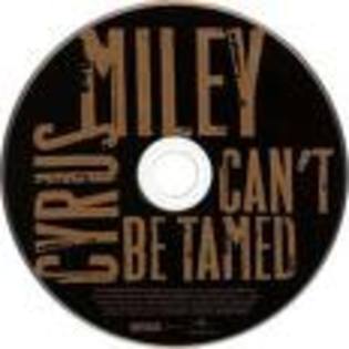  - cant be tamed by miley cyrus