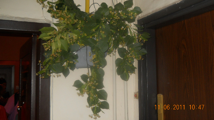 nunta Cosmina 11VI 2011 012