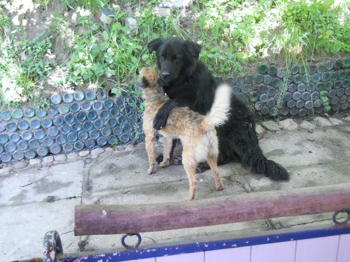 Buni 90 ani! 23 V 2011 014