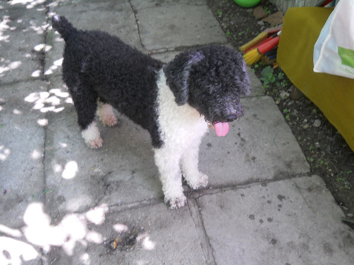 Buni 90 ani! 23 V 2011 059