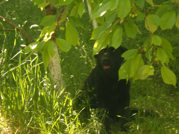 Buni 90 ani! 23 V 2011 077