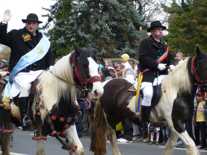 P1070425 - 14-PRIMAVARA 2 2011 BRASOV