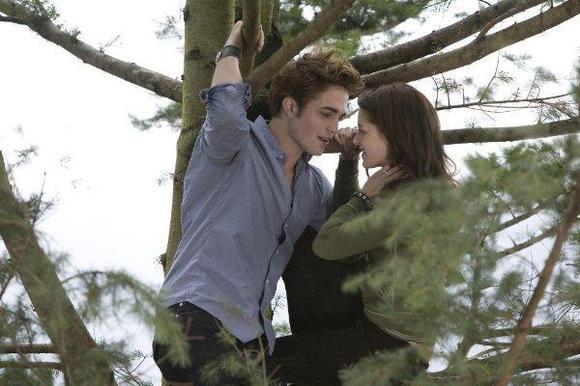 twilight-566440l-imagine[1]