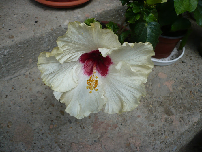 P1070852