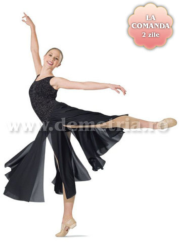 spect_dansatoareB[1] - Dresses