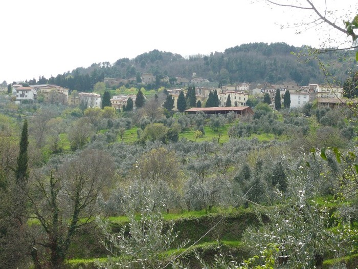 chiani in toscana o comuna - poze italia