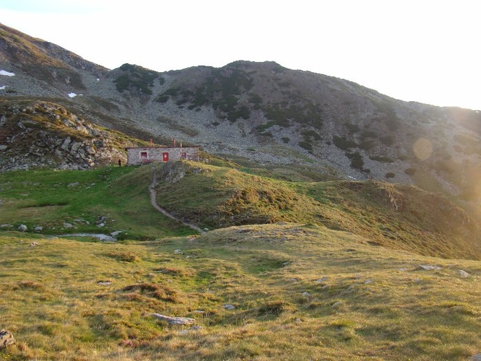 DSC07556