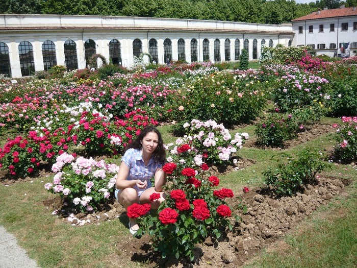 o super gradina de trandafiri - casa reale monza italy