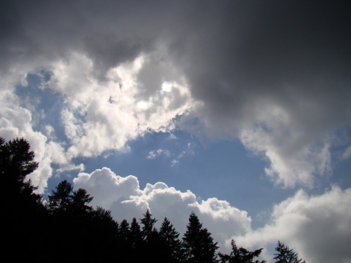 DSC03118
