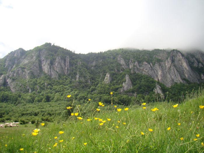 DSC03145