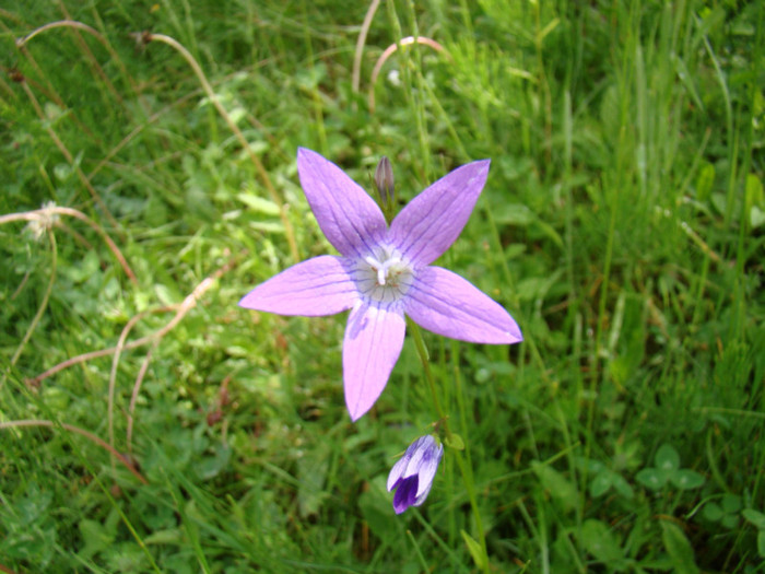 DSC03159