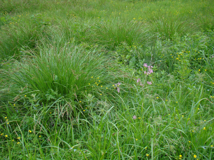 DSC03206