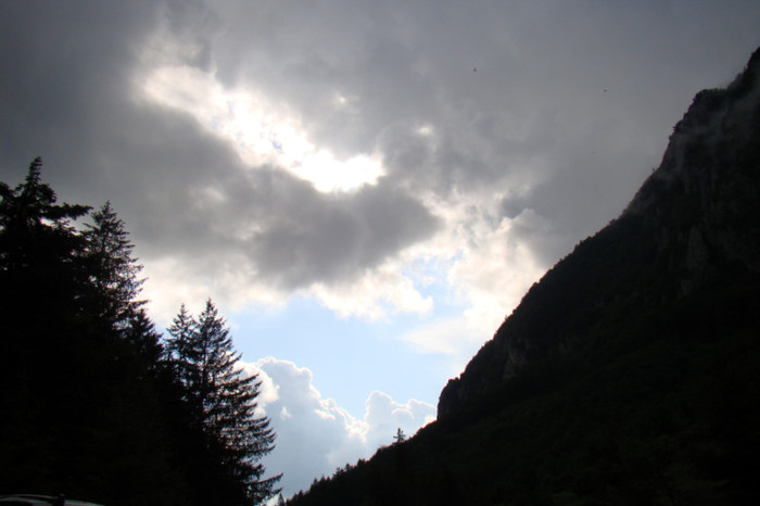 DSC03238