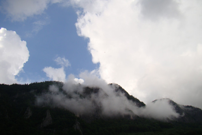 DSC03240