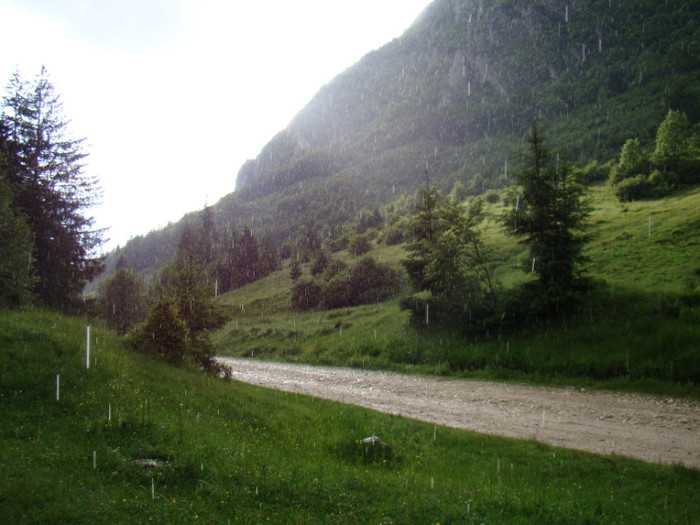 DSC03259