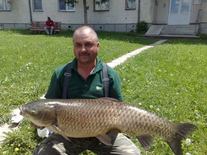 " O data in viata ", o captura din 2011; Un amur din lacul Frumoasa , prins in 09. 06. 2011.
