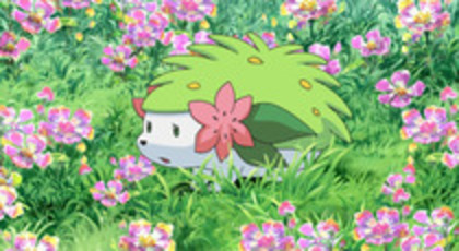 Shaymin - Shaymin