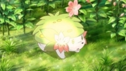 Shymin Transform - Shaymin