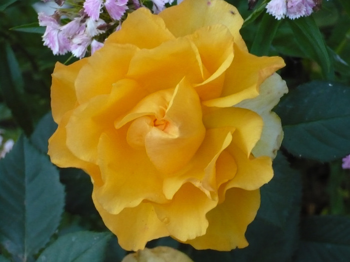 005