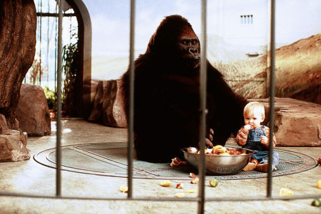 Baby\'s Day Out (11)