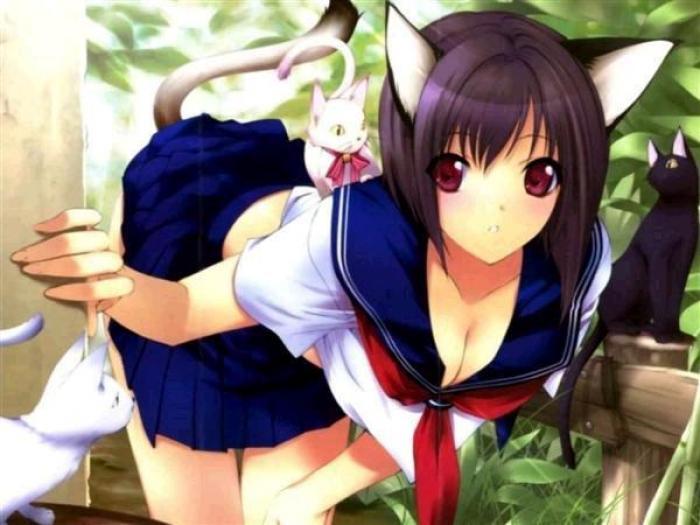 941529 - anime