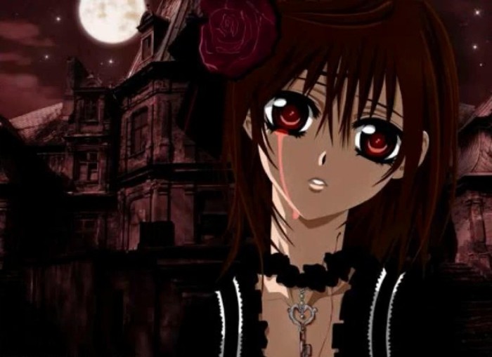  - Vampire Knight