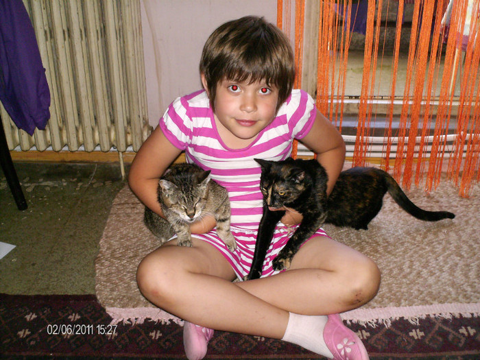 iunie 002 - pisicile familiei