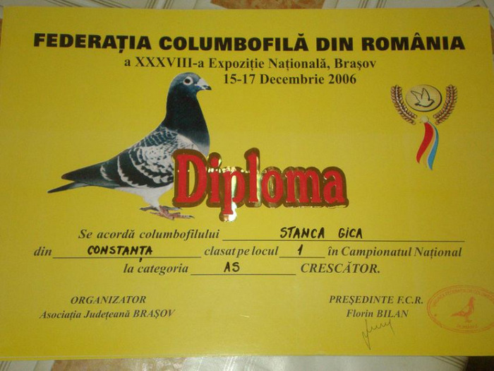 Stanca-Gica-diploma-379-bun - Porumbei 068864401