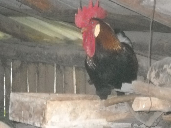 In control la locul de munca