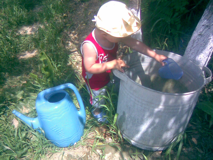 01062011(022) - gradina vara 2011