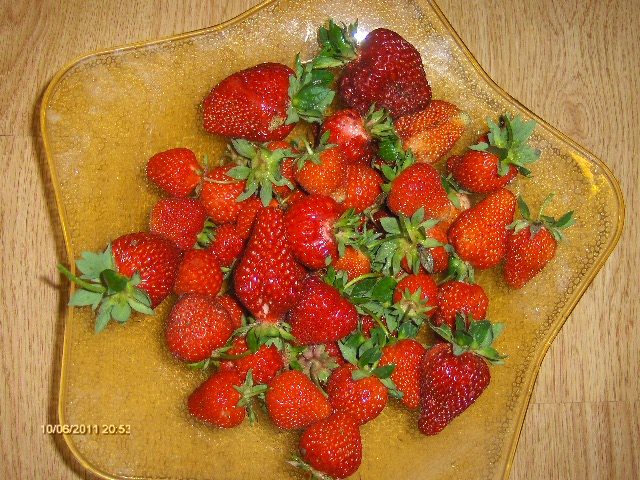 capsuni - prima recolta 2011