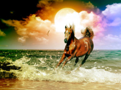 Arabian Horse Digital Art