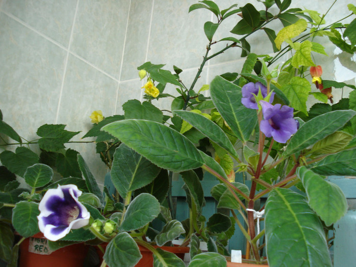 DSC09402