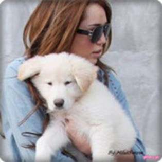  - MILEY 2