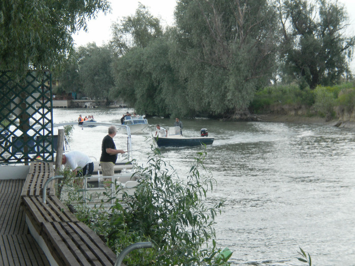 P6070018 - In Delta Dunarii-Uzlina-12iunie2011