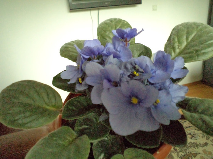 Copy (2) of DSC00279