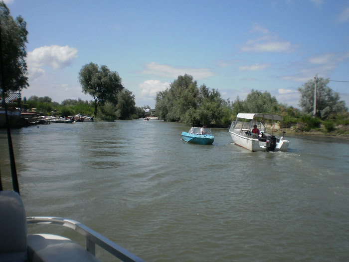 P6080069 - In Delta Dunarii-Uzlina-12iunie2011