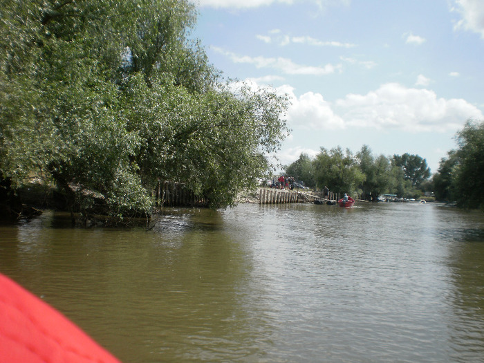 P6080114 - In Delta Dunarii-Uzlina-12iunie2011